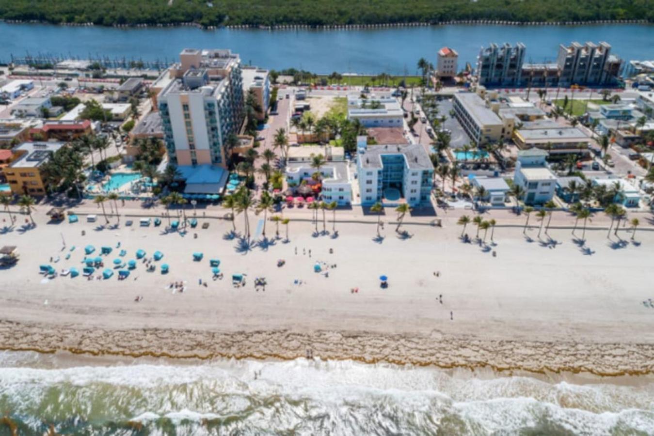 Walkabout 3 King Suite On The Ocean In Hollywood Beach Exterior foto