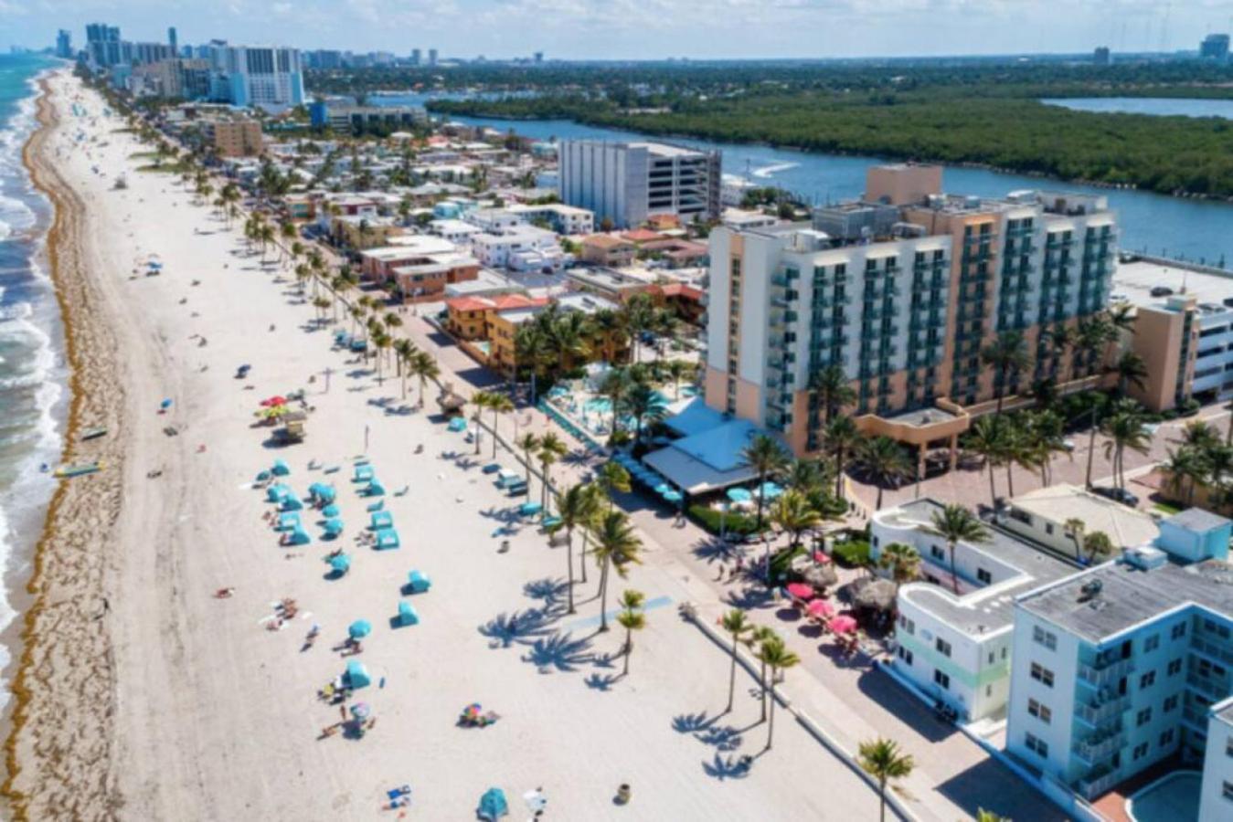 Walkabout 3 King Suite On The Ocean In Hollywood Beach Exterior foto